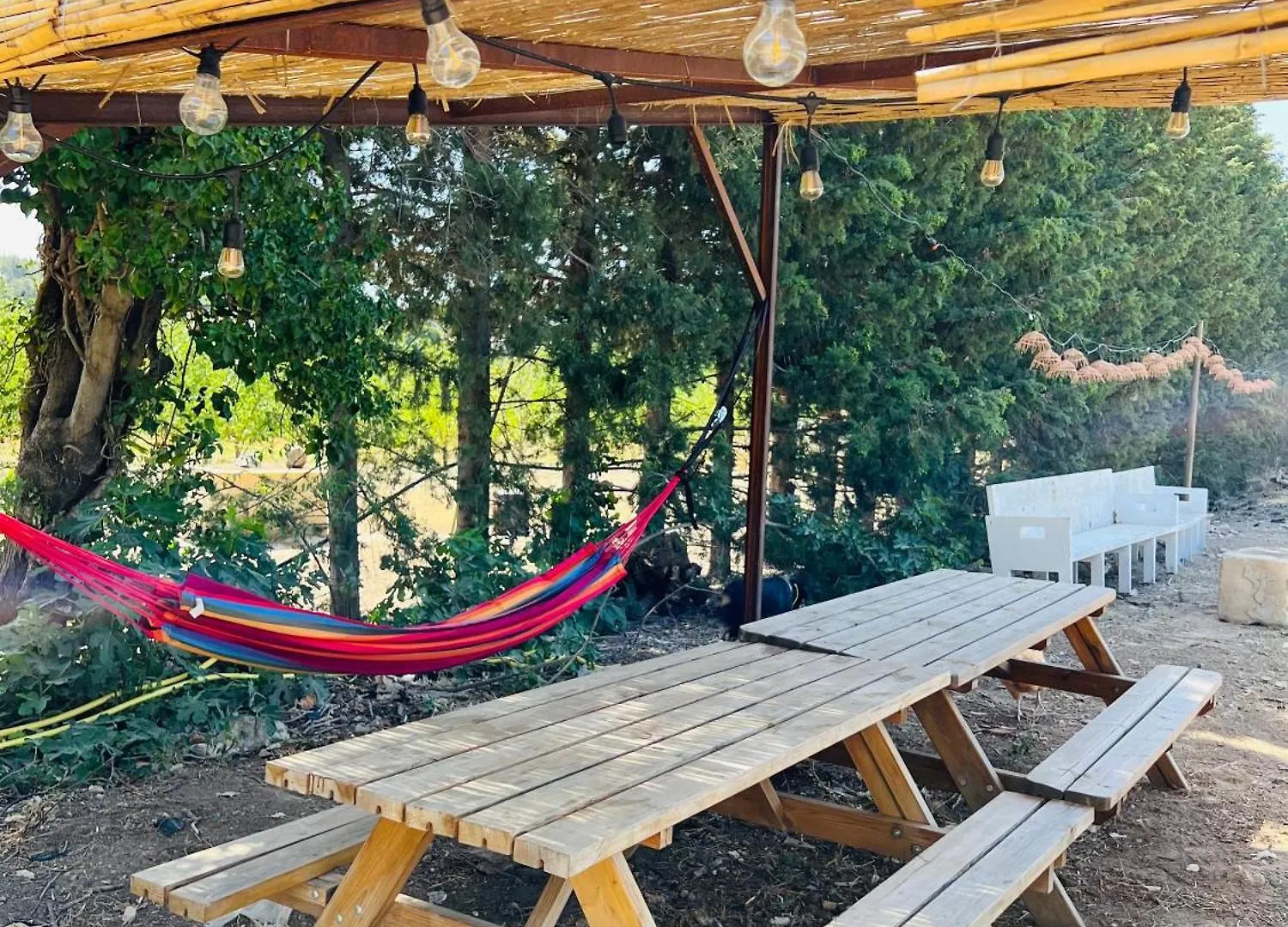 Apartment Appartements A La Ferme La Ciotat